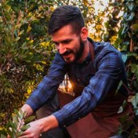 do-verde-ao-ouro---Rodirgo-mira-10