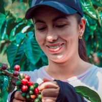 do-verde-ao-ouro---Rodirgo-mira-6